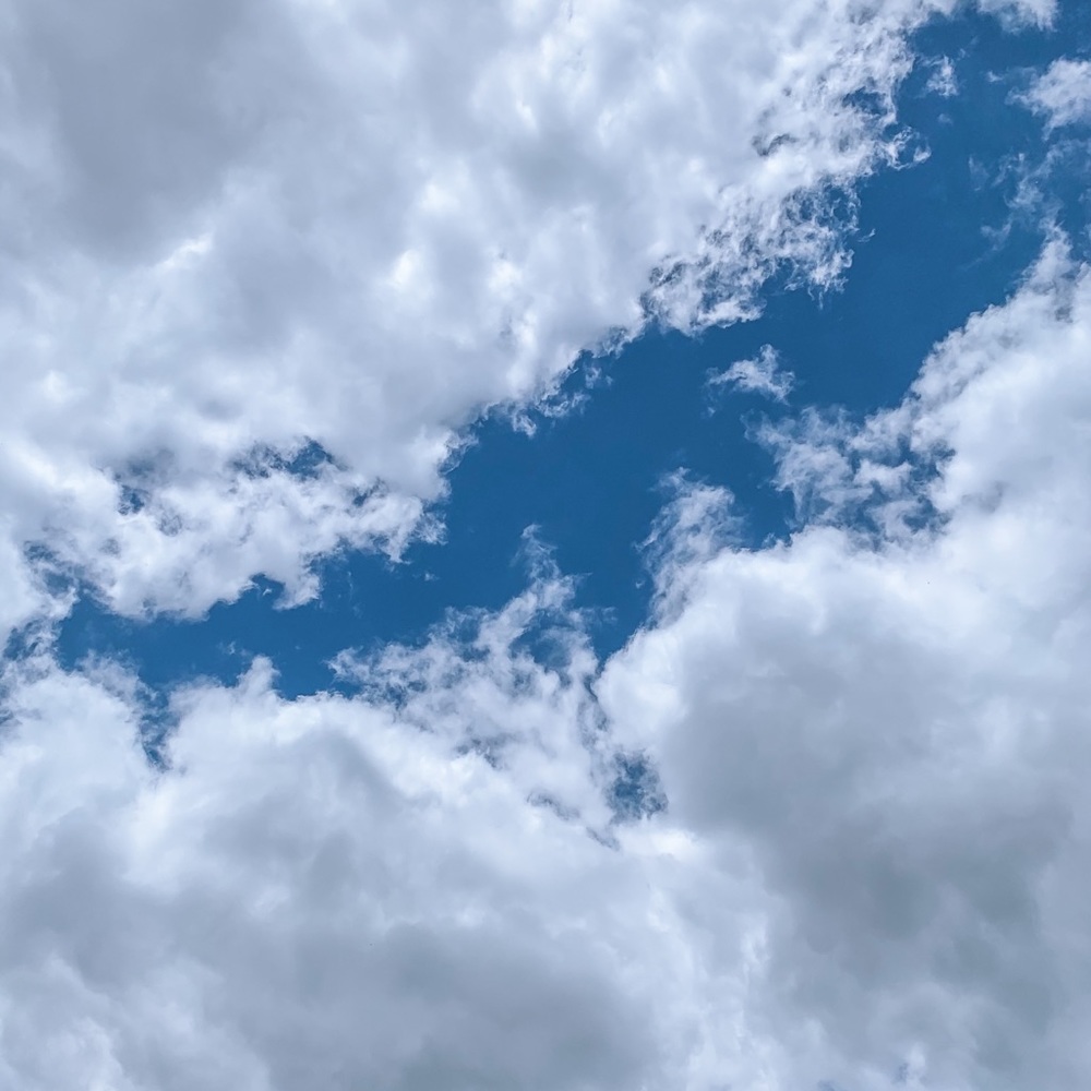 Meet your Posher, Zuri